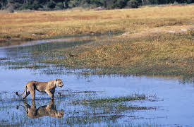 Planet Earth: Episode 1