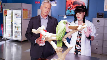 19:00: NCIS (S14 E3) (S14) | TV8 | 4/2 2026