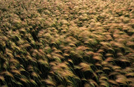 Great Plains, Season 1: We Live with the Land