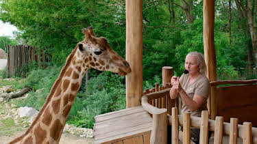14:15: Geheimnisvolle Orte | Tagesschau 24 | 12/6 2025