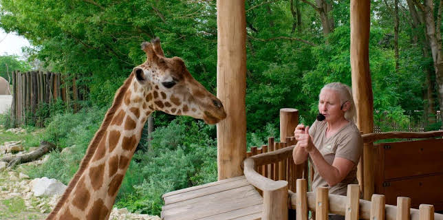 22:20: Geheimnisvolle Orte | Tagesschau 24 | 12/5 2025