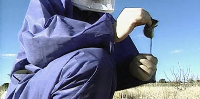 Medical Detectives - Geheimnisse der Gerichtsmedizin