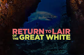 Return to Lair of the Great White: Return to Lair of the Great White