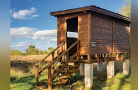 The National Geographic Guide to Birding in North America: Tactics for Better Birding