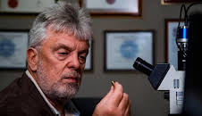 Expert Witness