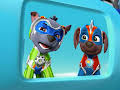 PAW Patrol