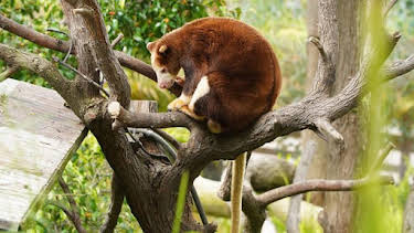 3:00 PM: The Zoo: San Diego (S2) | Discovery Channel | 9/23 2026