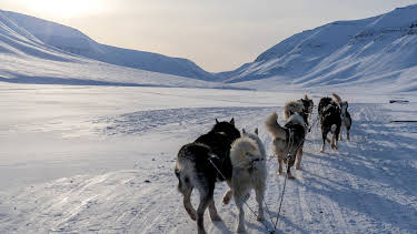 5:00 PM: Alaska: Homestead Rescue (S2 E10) (S2) | Dmax | 12/23 2025