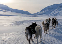 Alaska: Homestead Rescue