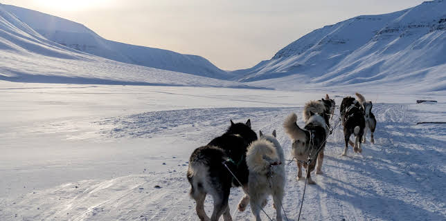 3:00 PM: Alaska: Homestead Rescue (S5 E16) (S5) | Dmax | 11/10 2025