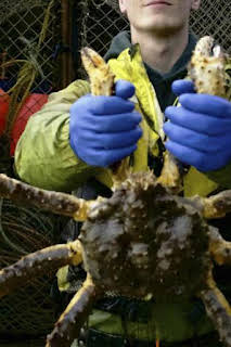 17:47: Pesca radical: Un cuchillo en las costillas | Discovery Max | 10/26 2026