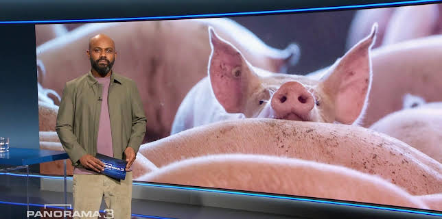 23:35: Panorama 3 | Tagesschau 24 | 2/21 2026