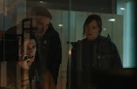 Detective Maria Kallio S01: Wild goose chase