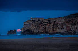 100 Foot Wave: VI – More Than Just a Wipeout