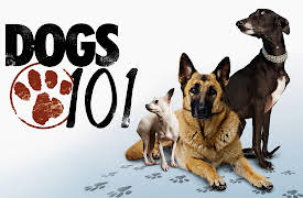 Dogs 101 Season 1: Rottweiler, Boston Terrier, Basset Hound, Shar Pei, St. Bernard