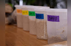 The Artisan's Kitchen: Sourdough Starter Tutorial