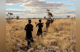 Language Families of the World: The Click Languages