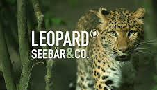 Leopard, Seebär & Co