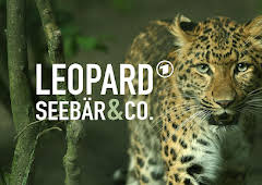 Leopard, Seebär & Co