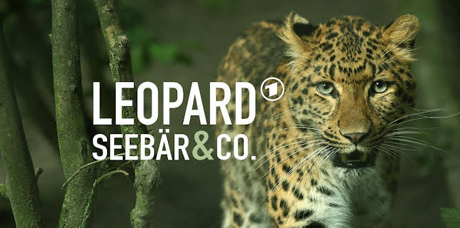 17:10: Leopard, Seebär & Co. | NDR Fernsehen | 11/4 2025