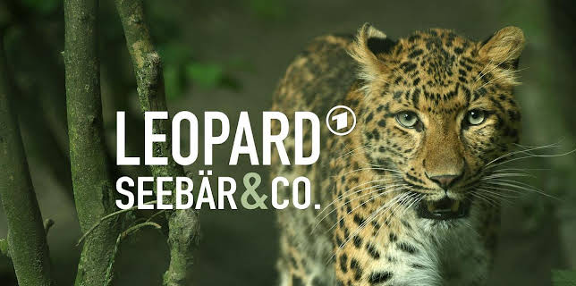 Leopard, Seebär & Co