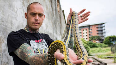 12:00 AM: Snakes In The City | Nat Geo Wild | 12/29 2025