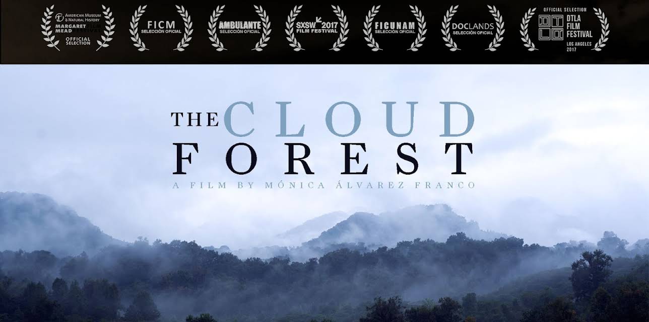 The Cloud Forest (2017)
