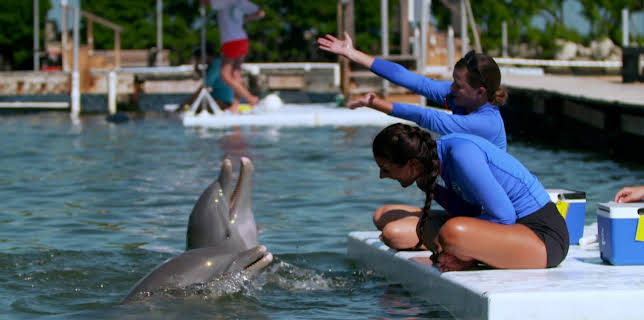 19:00: How Do Animals Do That? (S1 E7) (S1) | Animal Planet | 2/14 2026