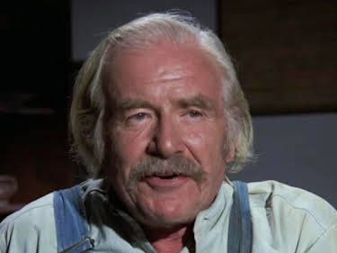 13:00: Die Waltons | Sat1 Gold | 8/6 2026