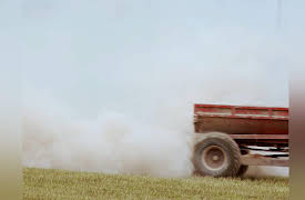 A Rare Breed: October