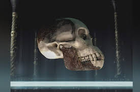 Strangest Things: Curse of the Piltdown Man