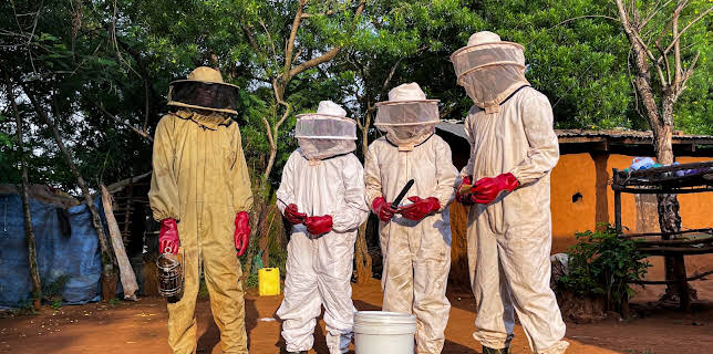 15:30: plan b: Unguilty Pleasures | ZDF | 1/25 2026