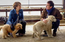 Puppy Love: Episode 1