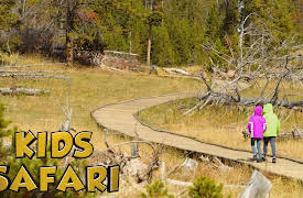 Kids Safari: Africa's Treasures