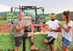 Marcus Wareing Simply Provence