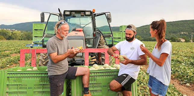 2:30 PM: Marcus Wareing Simply Provence (S1 E7) (S1) | BBC One | 2/4 2026