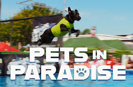 Pets in Paradise TV: Dock Dogs