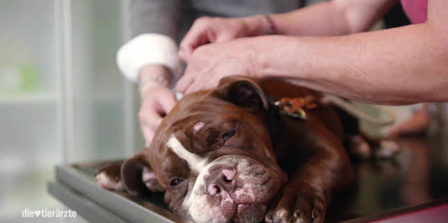 10:25: Die Tierärzte - Retter mit Herz (32) | WDR Fernsehen | 2/23 2026