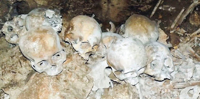 12:15: Verborgen im Dschungel - Geheimnisse aus der Vergangenheit | Kabel Eins Doku | 1/8 2026