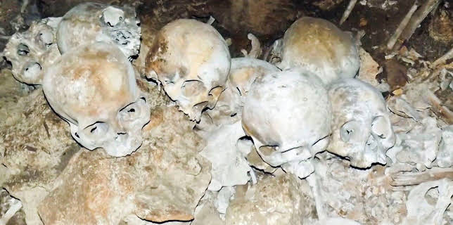 Verborgen im Dschungel - Geheimnisse aus der Vergangenheit