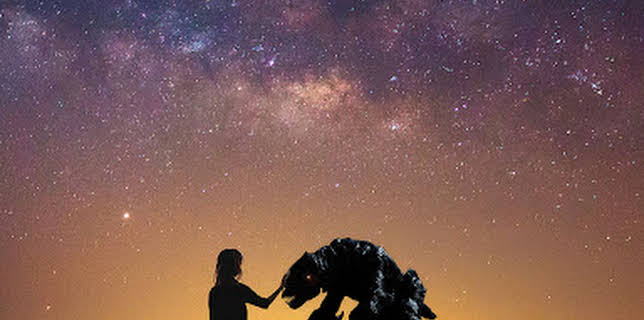 1:55 AM: Xeno | Sky Premiere | 2/8 2026