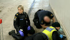 Gränsbevakarna Sverige (S3 E14)