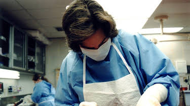 00:55: Dr. G - Beruf: Gerichtsmedizinerin | Sat1 Gold | 4/7 2026