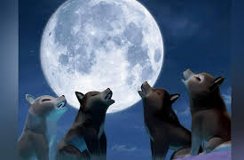 Tales of Tatonka: Howling at the Moon/ Cinksi's Debt