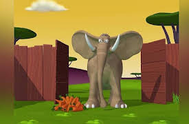 Gazoon: The African Carrots