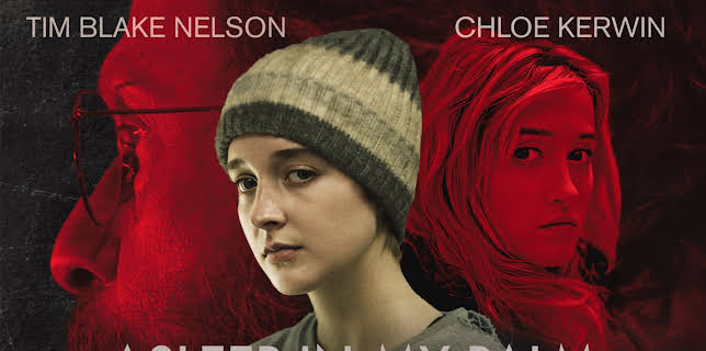 Asleep in My Palm (2024)