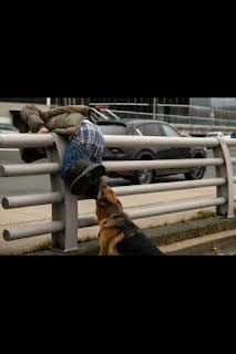 09:45: Hudson y Rex (T5): Ep.19 El cocinero, el jefe, el policía y su amante | Calle 13 | 3/30 2026