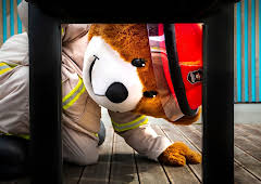 Bjørnis: Hvor er Julie