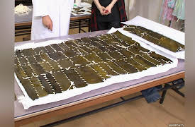 Crazy Labo: Episode 4