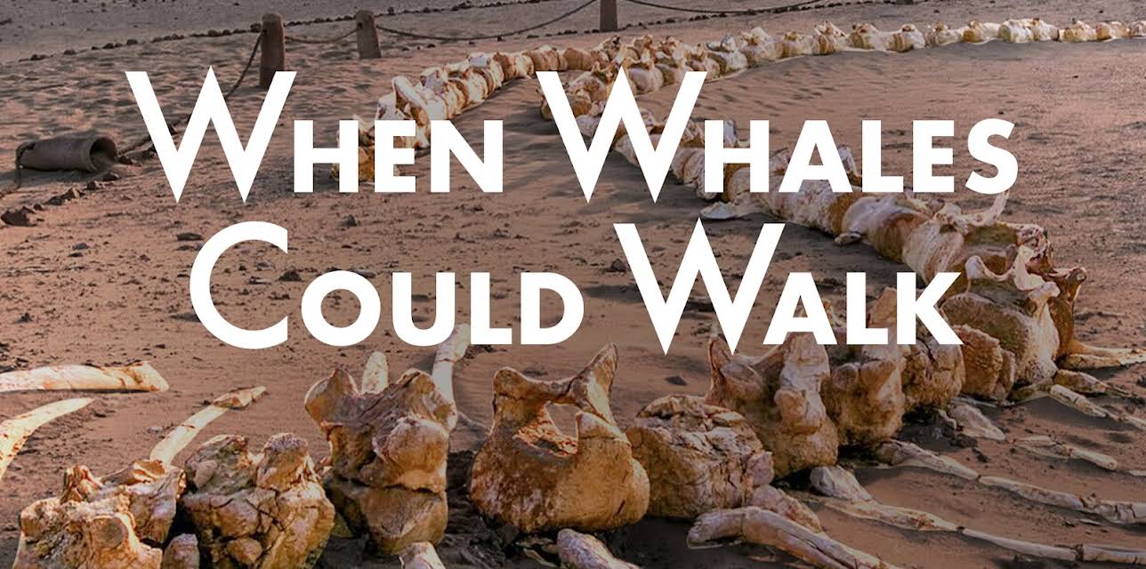 When Whales Could Walk (2024)